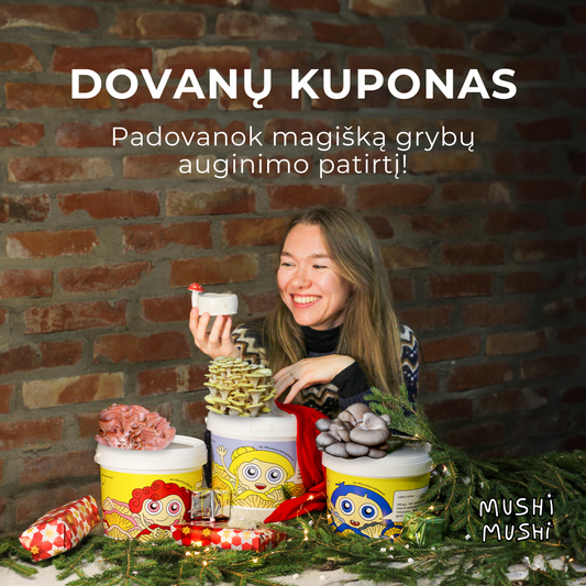 E-dovanų kuponas