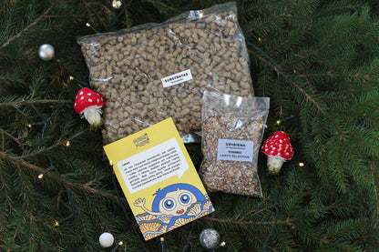 Grybų auginimo rinkinys - Gluosninė kreivabudė