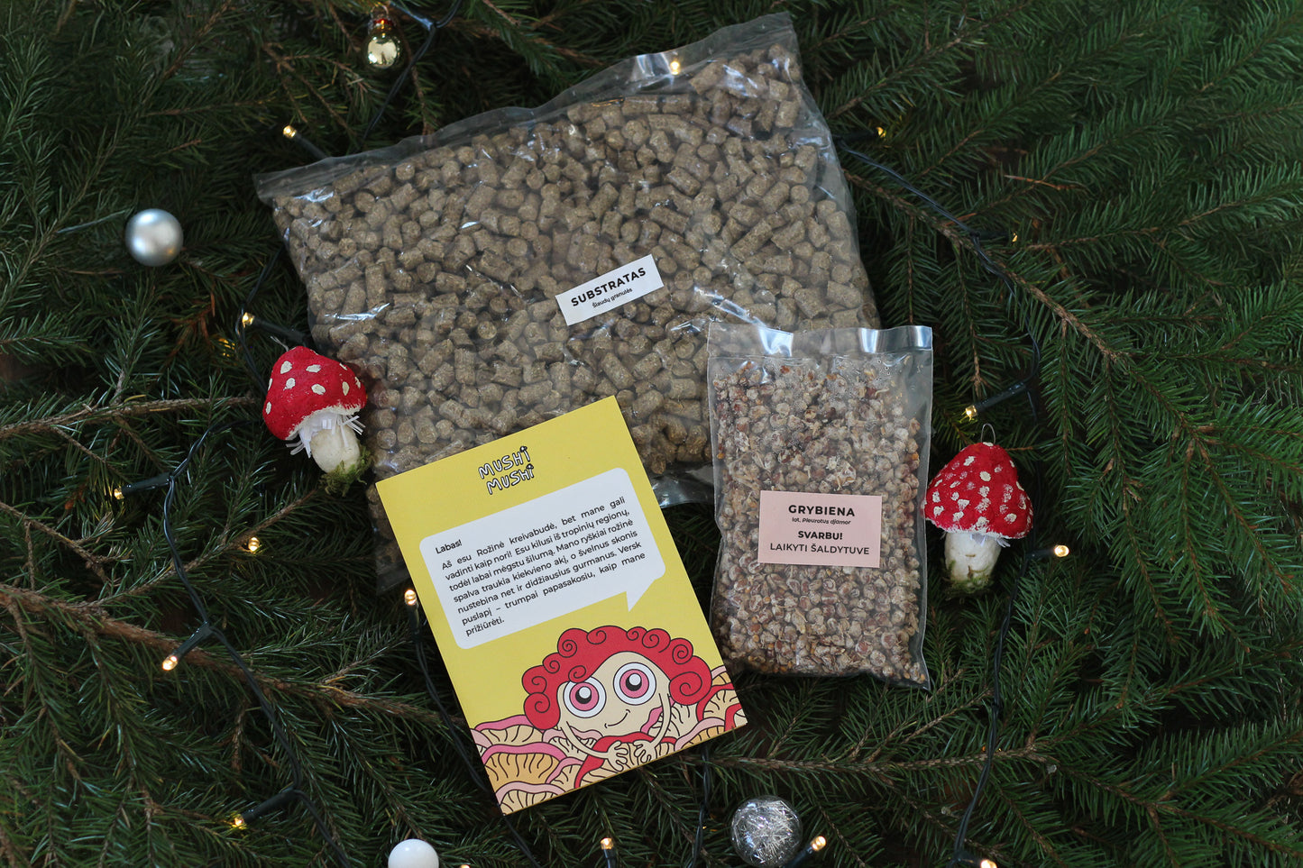 Grybų auginimo rinkinys - Rožinė kreivabudė