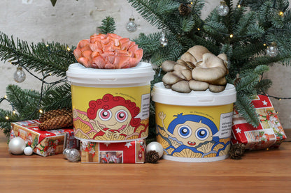 ŠVENTINĖ PORELĖ - Grybų auginimo rinkinių derinys