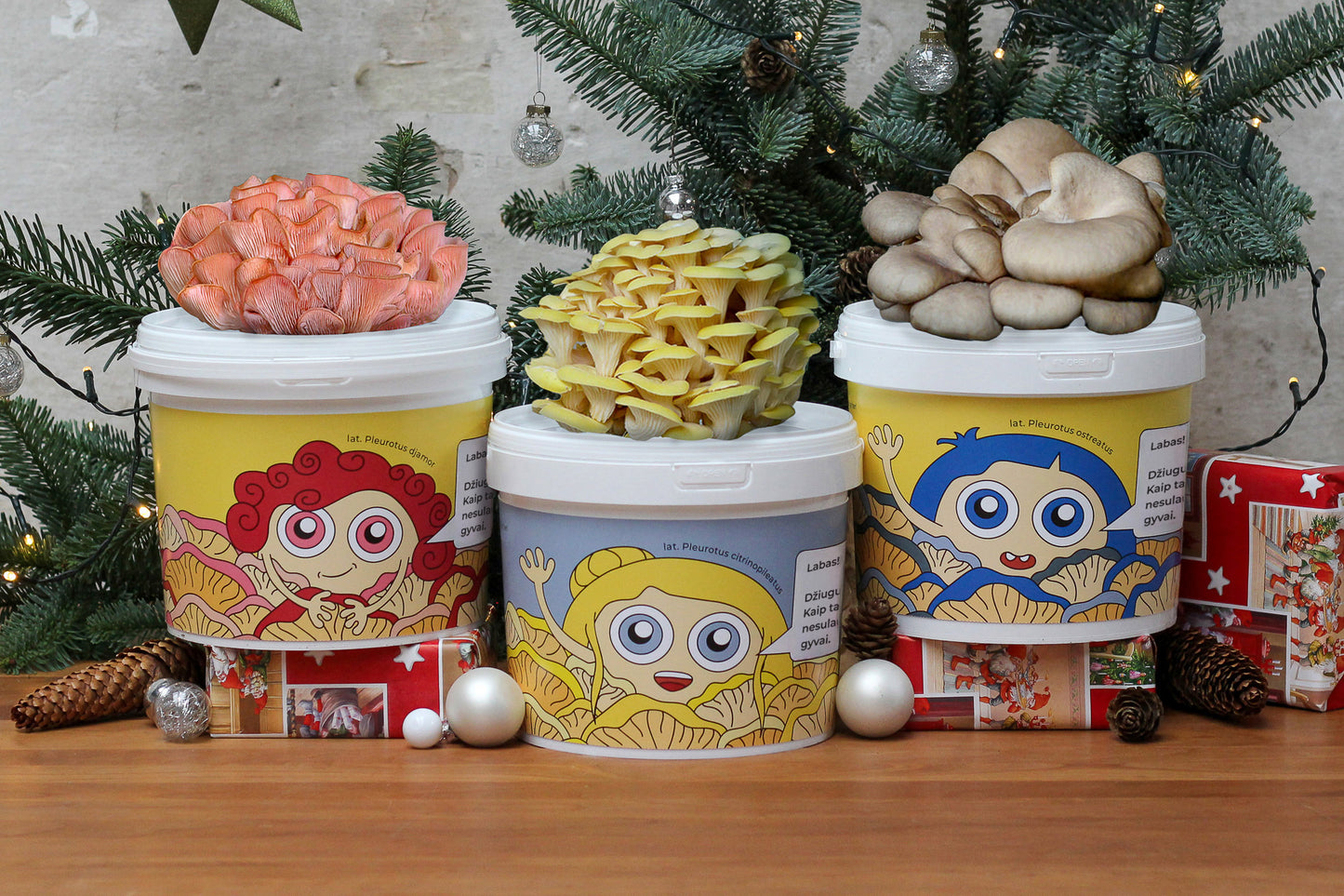 TRYS NYKŠTUKAI - Grybų auginimo rinkinių derinys