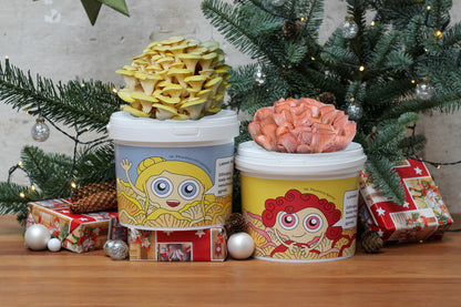 EGZOTIŠKOS KALĖDOS - Grybų auginimo rinkinių derinys